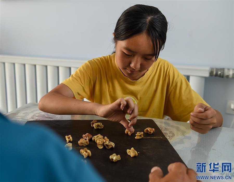 （特別的暑期生活·圖片故事）（13）草原女孩錫林花的暑期“歡樂(lè)時(shí)光”