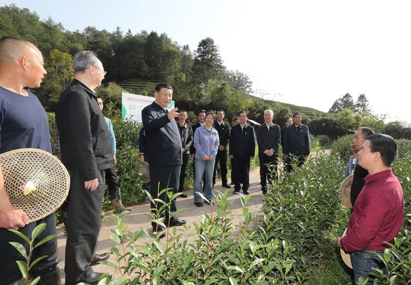 2021年3月22日，習(xí)近平總書記在福建南平武夷山市星村鎮(zhèn)燕子窠生態(tài)茶園，同科技特派員、茶農(nóng)親切交流，了解當(dāng)?shù)夭璁a(chǎn)業(yè)發(fā)展情況。