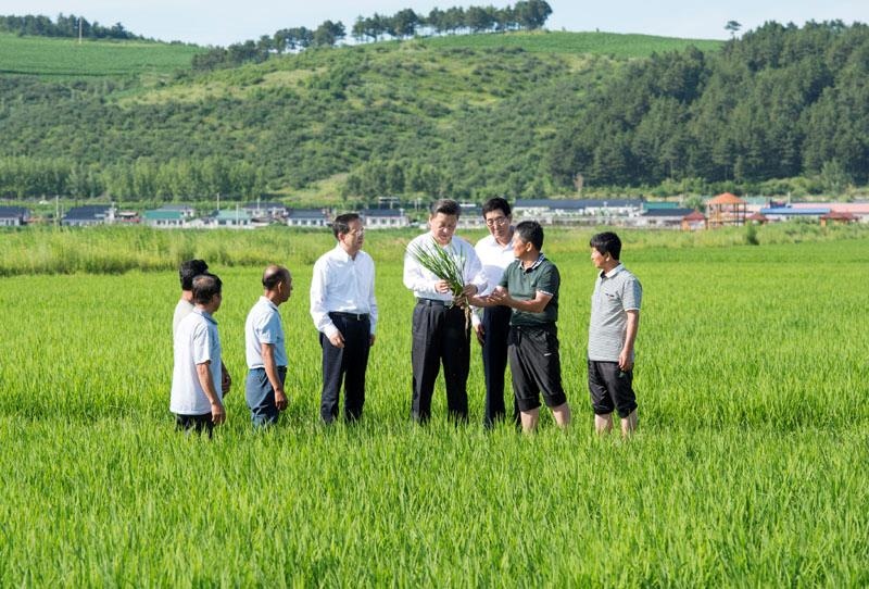 2015年7月16日，習(xí)近平總書記在吉林延邊州光東村稻田同村民和農(nóng)技人員交流。