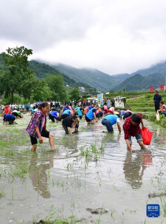 5月27日，秭歸縣九畹溪鎮(zhèn)農(nóng)民參加摸魚(yú)比賽。