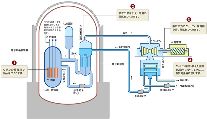 核電站運(yùn)作原理圖。通常的核電站排水未直接接觸核燃料。（圖片來源：日本北海道電力株式會社網(wǎng)站）