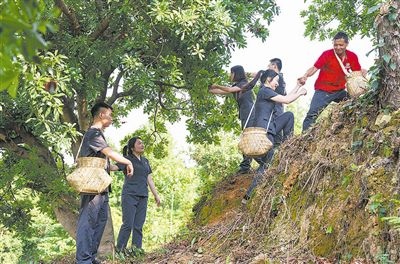 村民幫助志愿者爬上山坡。