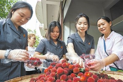 志愿者和村民一起將摘下的楊梅裝進食品盒里。