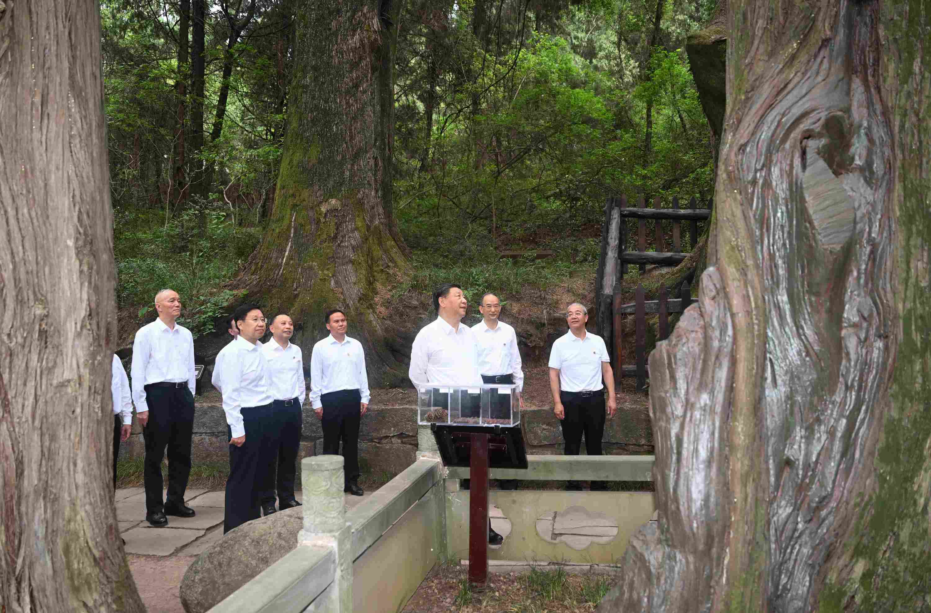 △2023年7月25日，習(xí)近平總書記在四川省廣元市考察了翠云廊古蜀道，了解當(dāng)?shù)赝七M(jìn)歷史文化傳承、加強(qiáng)生態(tài)文明建設(shè)等情況。