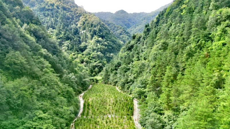 建設(shè)中的西氣東輸三線中段。受訪者供圖