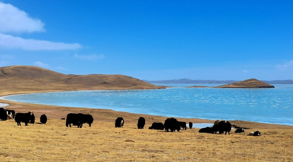 在三江源國家公園黃河源園區(qū)拍攝的扎陵湖風(fēng)光（2022年3月12日攝）。新華社記者 呂雪莉 攝