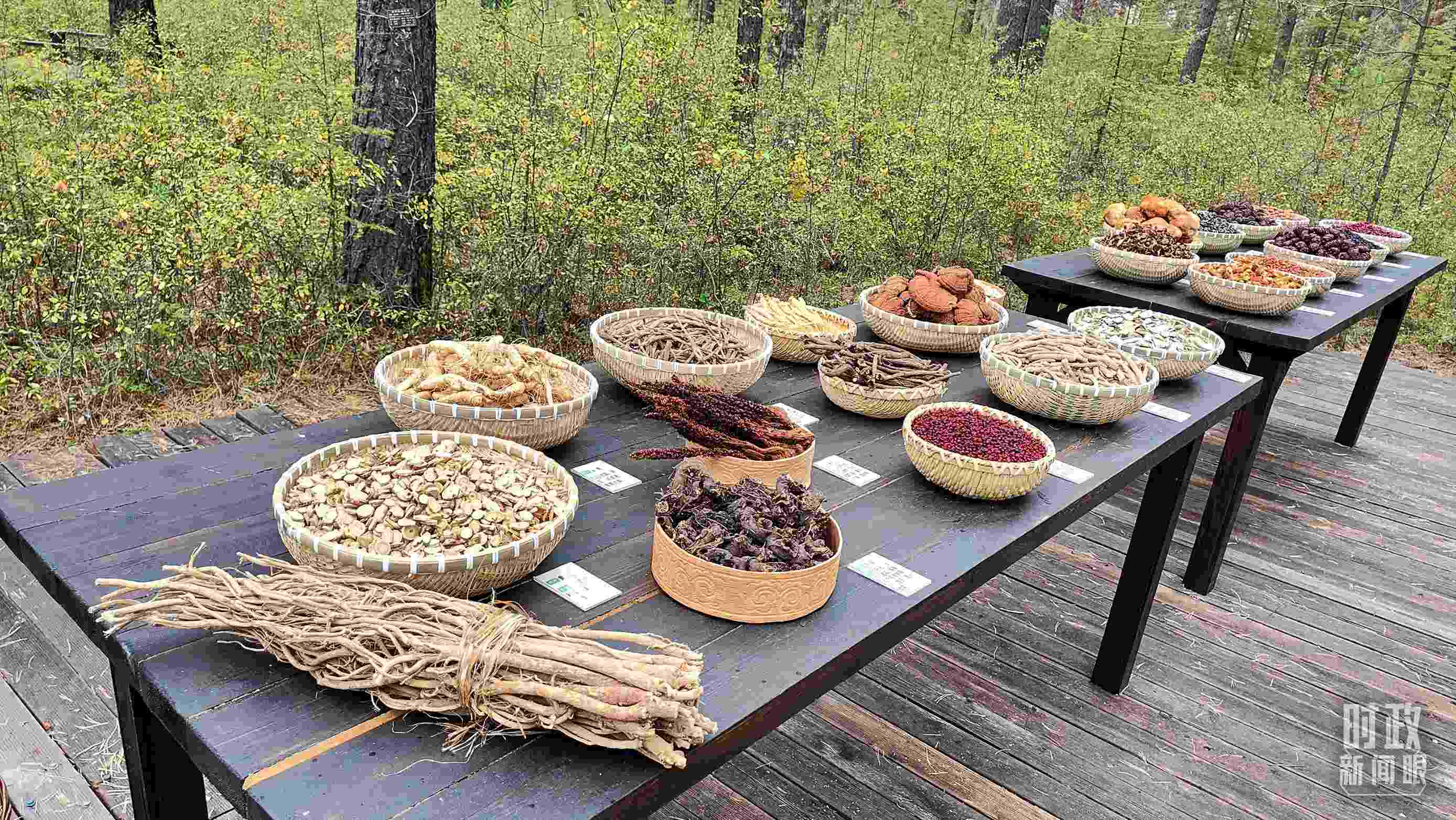 △林場里的食用菌、林果等特產(chǎn)。（總臺央視記者楊立峰拍攝）