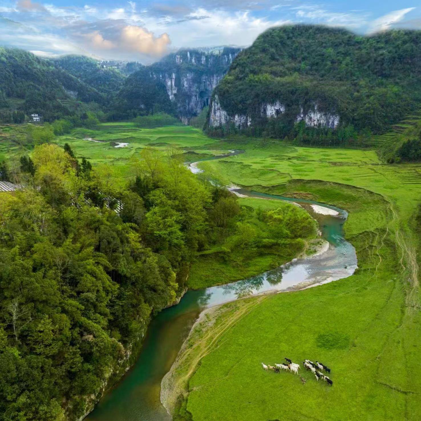 棣棠鄉(xiāng)龍氼孔千畝大草原自駕露營基地。棣棠鄉(xiāng)人民政府供圖