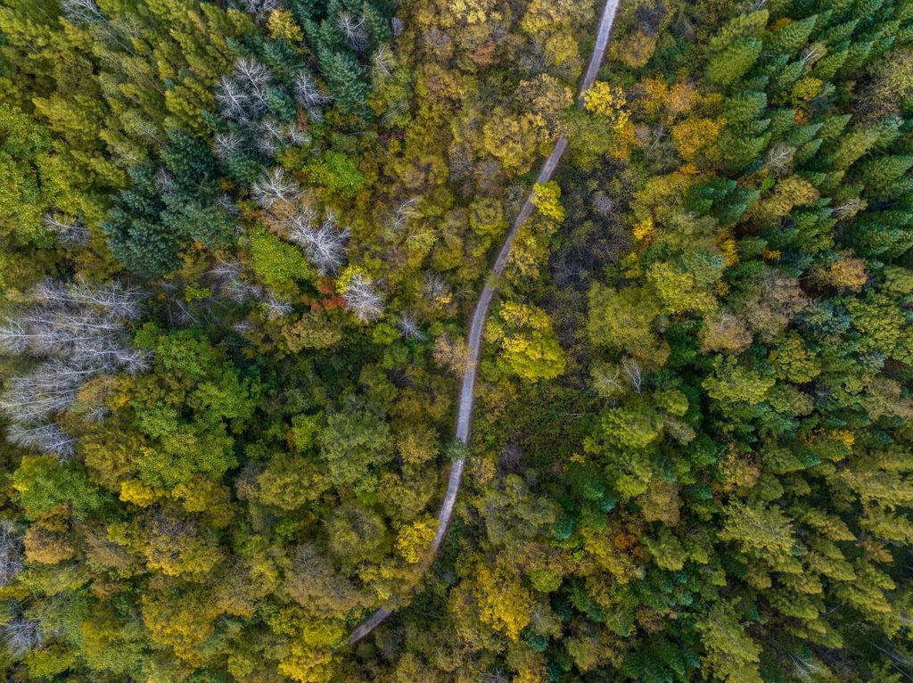 綠意盎然的長白山地區(qū)。王哲攝