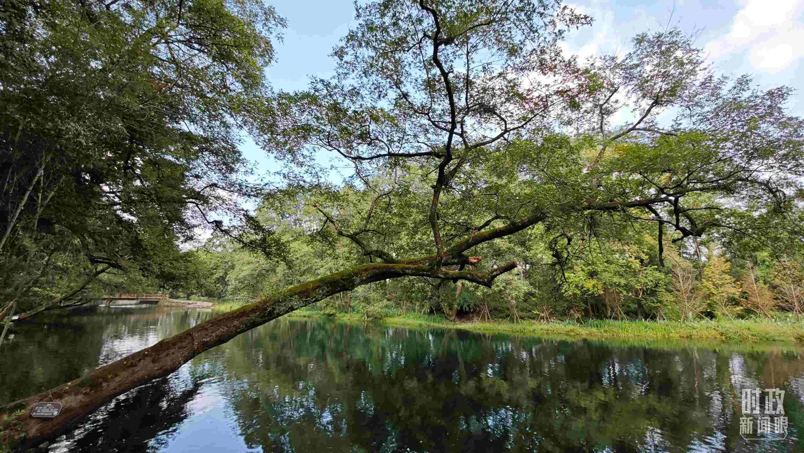 △饒河源國(guó)家濕地公園。（總臺(tái)央視記者郁振一拍攝）