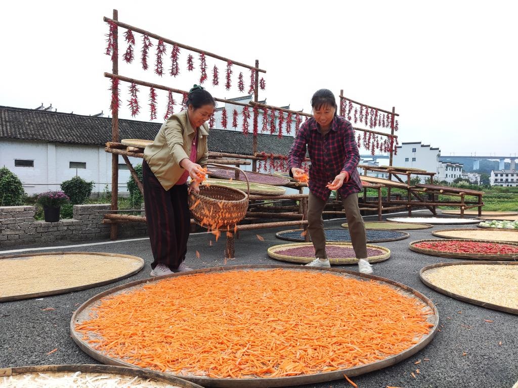 近日，江西省上饒市婺源縣秋口鎮(zhèn)王村的村民正在晾曬農作物。新華社記者 劉佳敏 攝