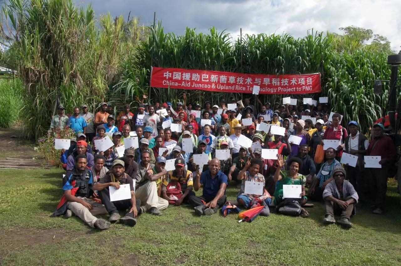 △2020年12月17日，在巴布亞新幾內(nèi)亞東高地省，參加中國援助巴新菌草和旱稻技術(shù)項(xiàng)目第9期培訓(xùn)班的當(dāng)?shù)孛癖娬故窘Y(jié)業(yè)證書。