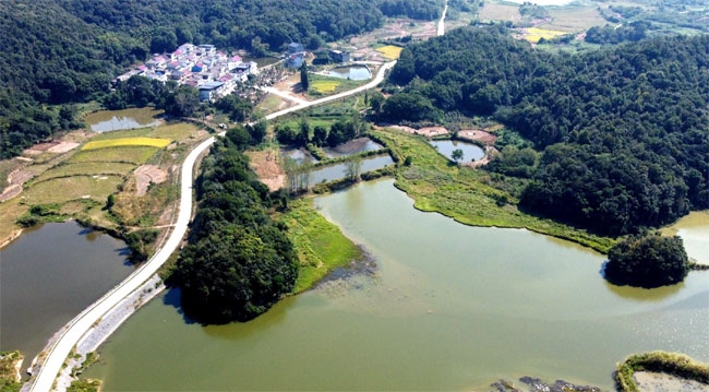 楊金龍用手機拍攝的道路全景。受訪者供圖