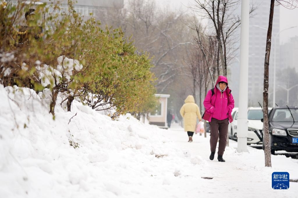 11月16日，市民在雪中前行。當(dāng)日，黑龍江哈爾濱市迎來(lái)雨雪天氣。新華社記者 王建威 攝