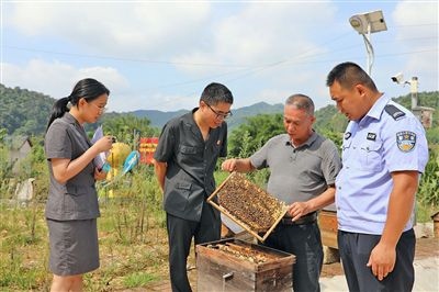  圖②：蒙山法院黃村法庭法官深入蜂蜜合作社，實地了解蜂農(nóng)需求。