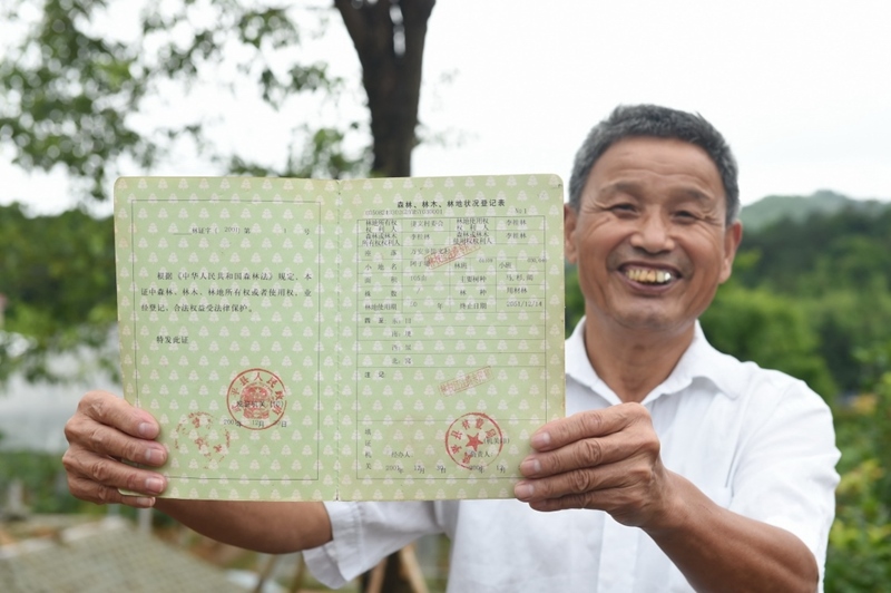 福建武平縣萬安鎮(zhèn)捷文村村民李桂林展示林權(quán)改革后領(lǐng)到的全國第一本新式林權(quán)證。