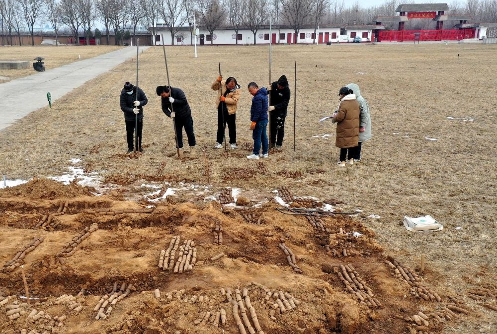 在殷墟王陵遺址，工作人員在勘探圍溝范圍（2月24日攝）。