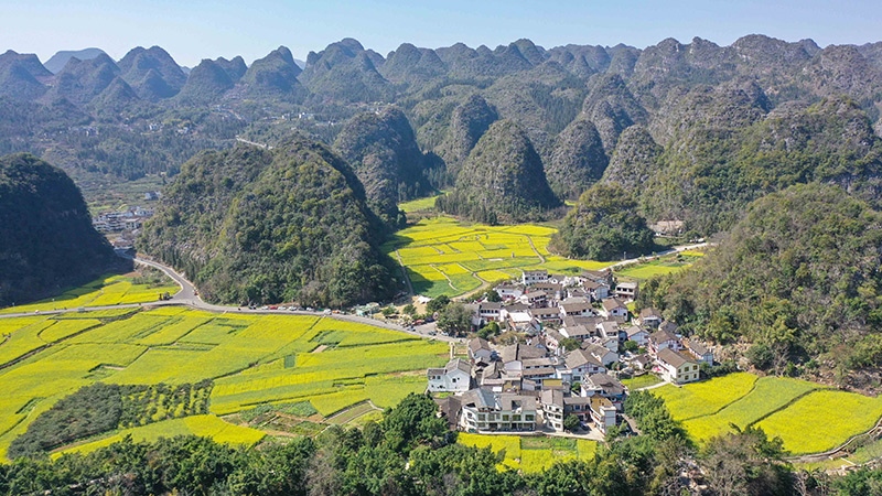 2024年2月17日，貴州省興義市萬(wàn)峰林景區(qū)的油菜花海景色（無(wú)人機(jī)照片）。