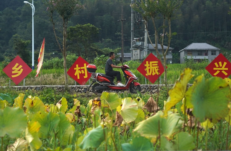 2023年8月24日拍攝的江西省靖安縣璪都鎮(zhèn)港背村一景。該村在當(dāng)?shù)卣С窒?，修古建，建民宿，搞開發(fā)，引進(jìn)竹筏漂流、觀光采摘、農(nóng)耕體驗(yàn)、森林研學(xué)等多種旅游業(yè)態(tài)，建成新田園生態(tài)度假小鎮(zhèn)，發(fā)展鄉(xiāng)村旅游，走上致富路。