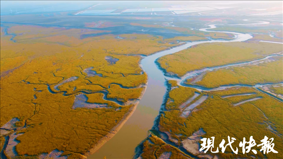 黃海之濱