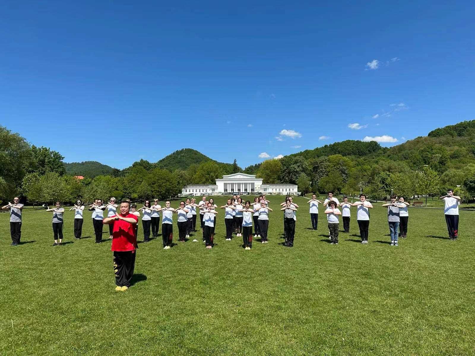 北京體育大學(xué)教授武冬帶領(lǐng)學(xué)員進(jìn)行太極拳演練。布加勒斯特中國(guó)文化中心供圖