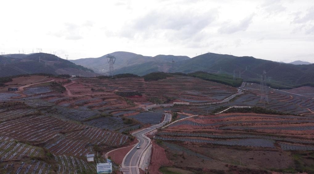 火普村的藍(lán)莓基地一角（無(wú)人機(jī)照片）。新華社記者 尹恒 攝