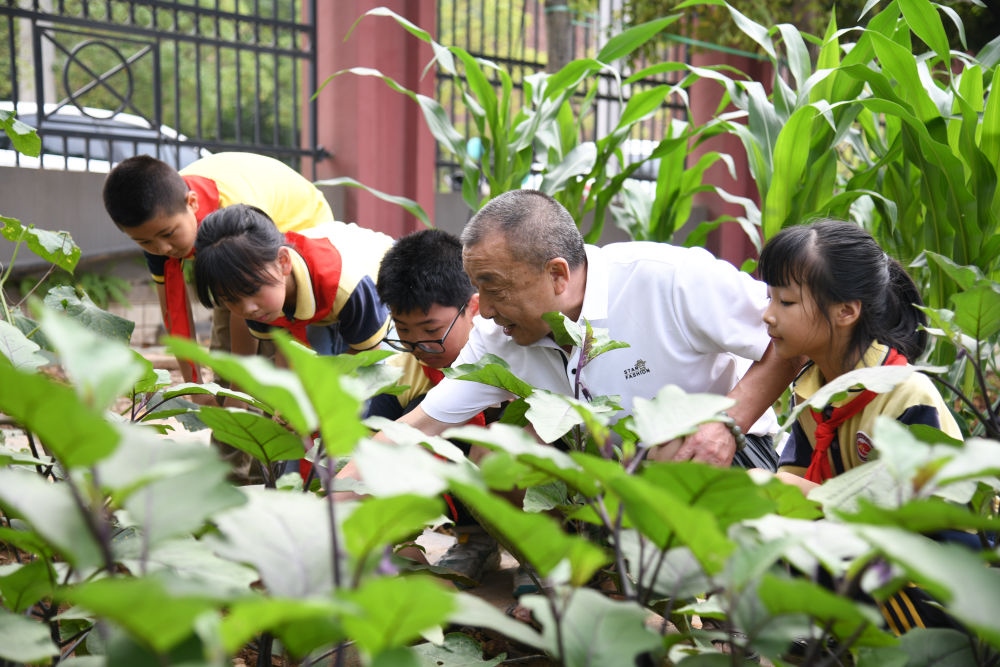 5月31日，老師帶領(lǐng)學(xué)生在之江小學(xué)勞動(dòng)實(shí)踐基地學(xué)習(xí)蔬菜知識(shí)。新華社記者 胥冰潔 攝