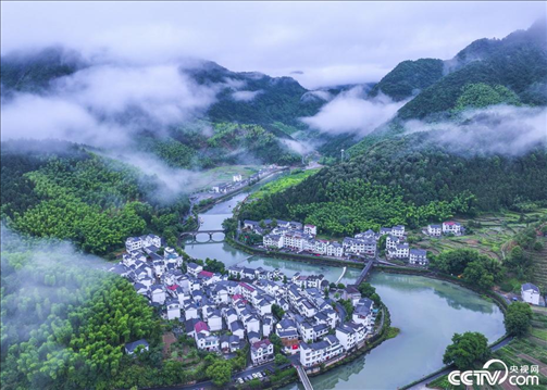 2024年6月19日，浙江省杭州市淳安縣楓樹(shù)嶺鎮(zhèn)下姜村，雨后云霧繚繞。