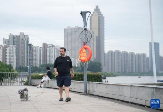 7月20日，在安徽蕪湖市，馬丁在長江邊遛狗。新華社記者 傅天 攝