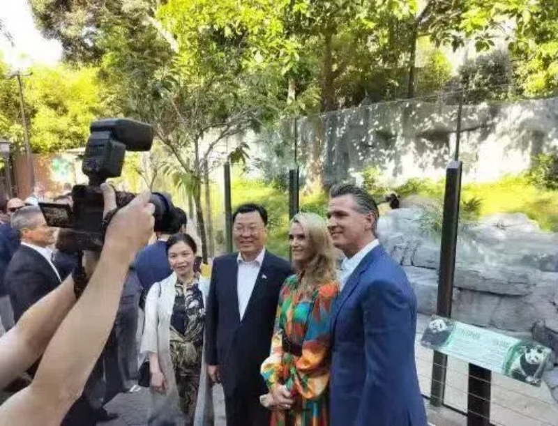 謝鋒大使及夫人與加州州長紐森夫婦在圣迭戈動物園大熊貓館前合影。圖片為中國駐美大使館提供