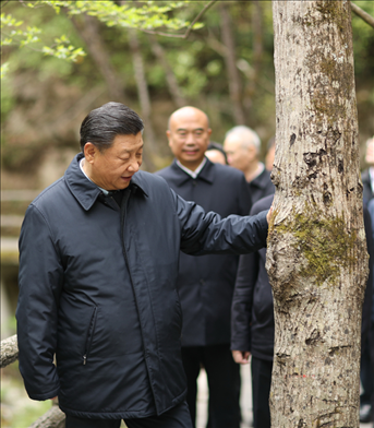 2020年4月，習(xí)近平總書記來到位于商洛市柞水縣的秦嶺牛背梁國家級自然保護區(qū)，考察秦嶺生態(tài)保護情況。新華社記者 鞠鵬 攝