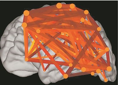 圖上的線條代表大腦皮層中與語言處理相關(guān)的各個區(qū)域之間的連接。當(dāng)閱讀時，這些區(qū)域的神經(jīng)元會以精確同步的方式激發(fā)，這種現(xiàn)象被稱為共同漣漪。圖片來源：加州大學(xué)圣迭戈分校