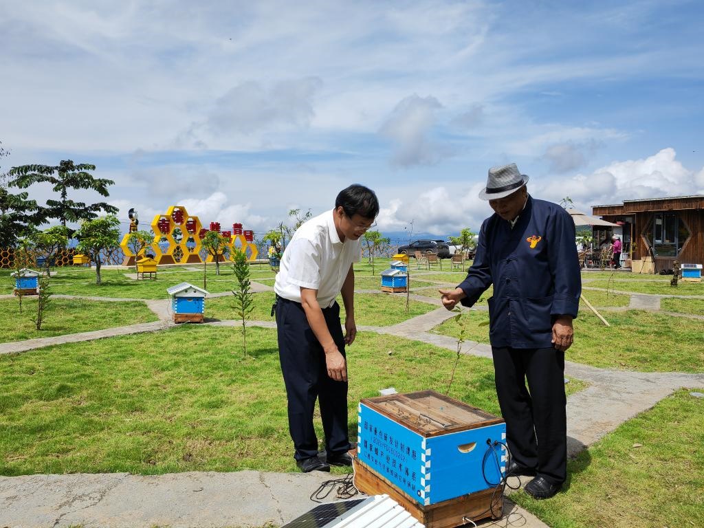 8月17日，中國農(nóng)業(yè)科學(xué)院蜜蜂研究所研究員黃家興（左）向巖翁介紹智能化蜜蜂飼養(yǎng)蜂箱。新華社記者吉哲鵬 攝