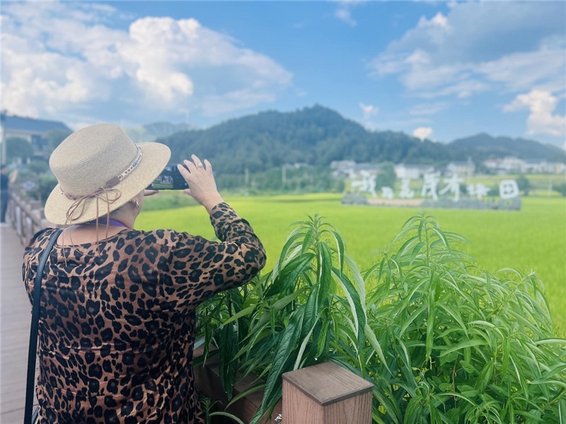 “我在花茂有塊田”，不僅是中國人的詩和遠方，也是塔吉克斯坦“阿維斯塔”通訊社總編輯占納特洪·庫爾班諾娃的“烏托邦”。（張亞欣攝）