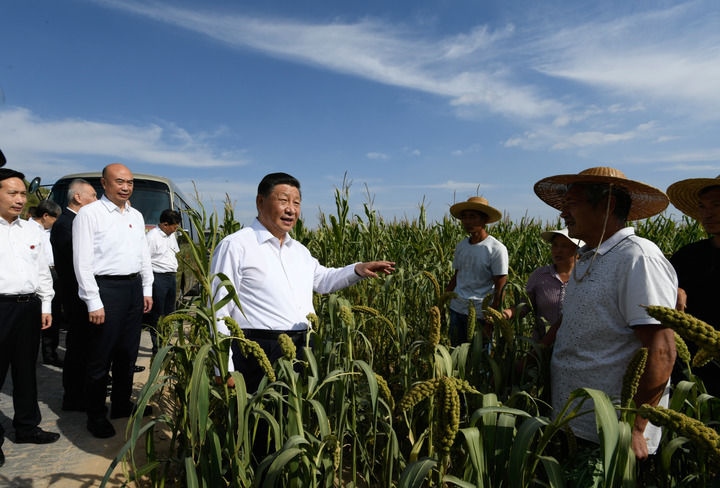 2021年9月13日至14日，中共中央總書記、國(guó)家主席、中央軍委主席習(xí)近平在陜西省榆林市考察。這是13日下午，習(xí)近平在米脂縣銀州街道高西溝村臨時(shí)下車，察看糧食作物長(zhǎng)勢(shì)，同正在田間勞作的老鄉(xiāng)拉家常。新華社記者 李學(xué)仁 攝