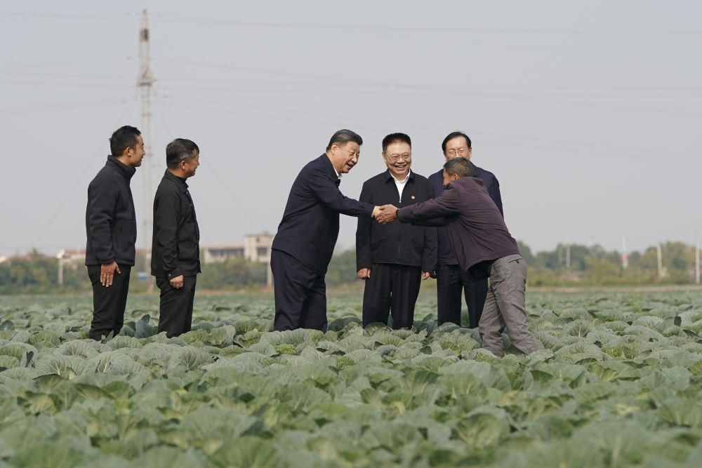 2024年11月5日，習(xí)近平在咸寧市嘉魚縣潘家灣鎮(zhèn)十里蔬菜長廊考察時(shí)，同菜農(nóng)親切交流。