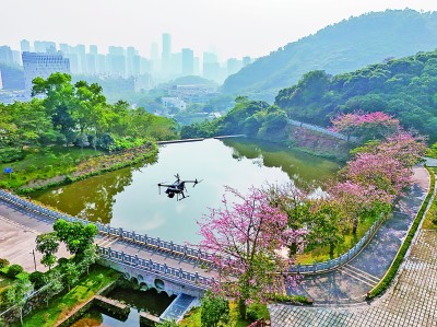 無人機(jī)在深圳塘朗山郊野公園里巡檢。新華社發(fā)